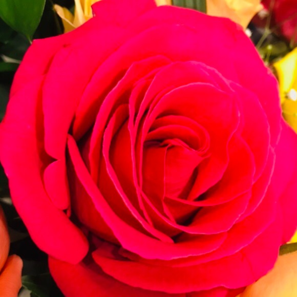 Meet your Posher, Emely - Picture 1 of 1